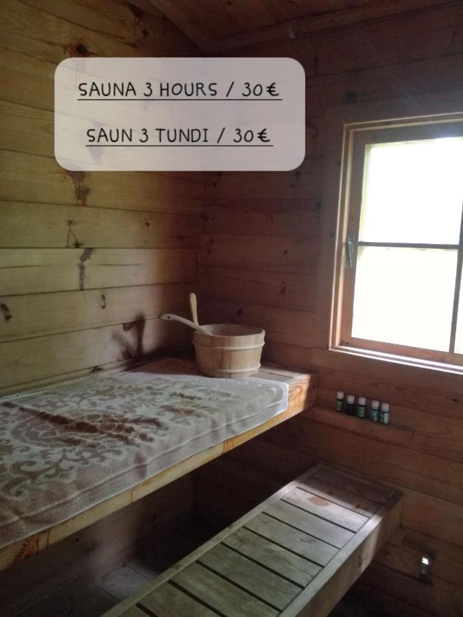 Luxury tent Jaagu Metsatelk